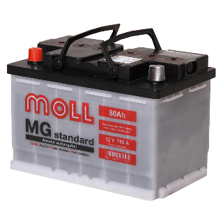 MOLL MG Standard 80