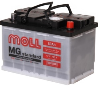 MOLL MG Standard 80Ah