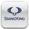    Ssang-Yong